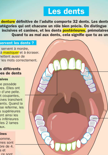 Illustration rubrique