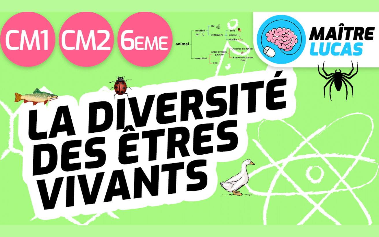 Illustration rubrique