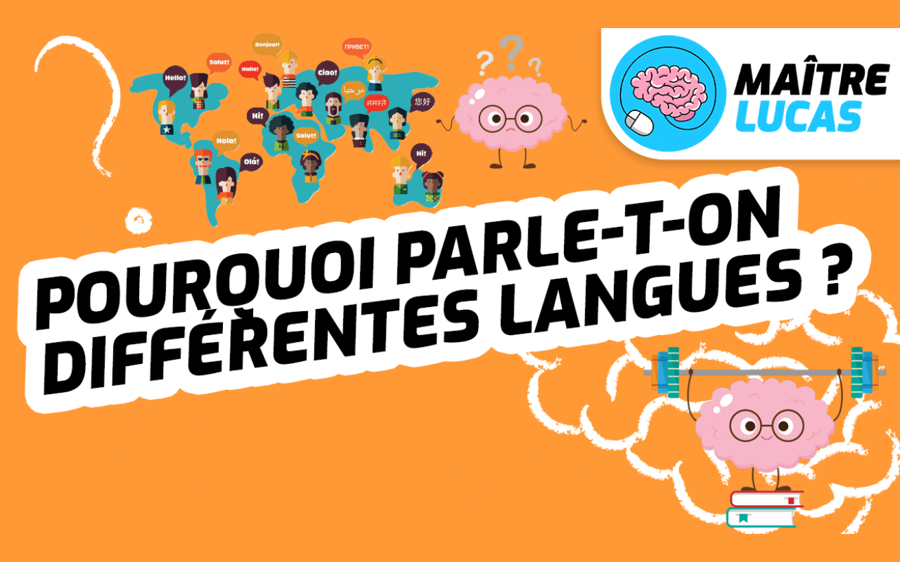 Illustration rubrique