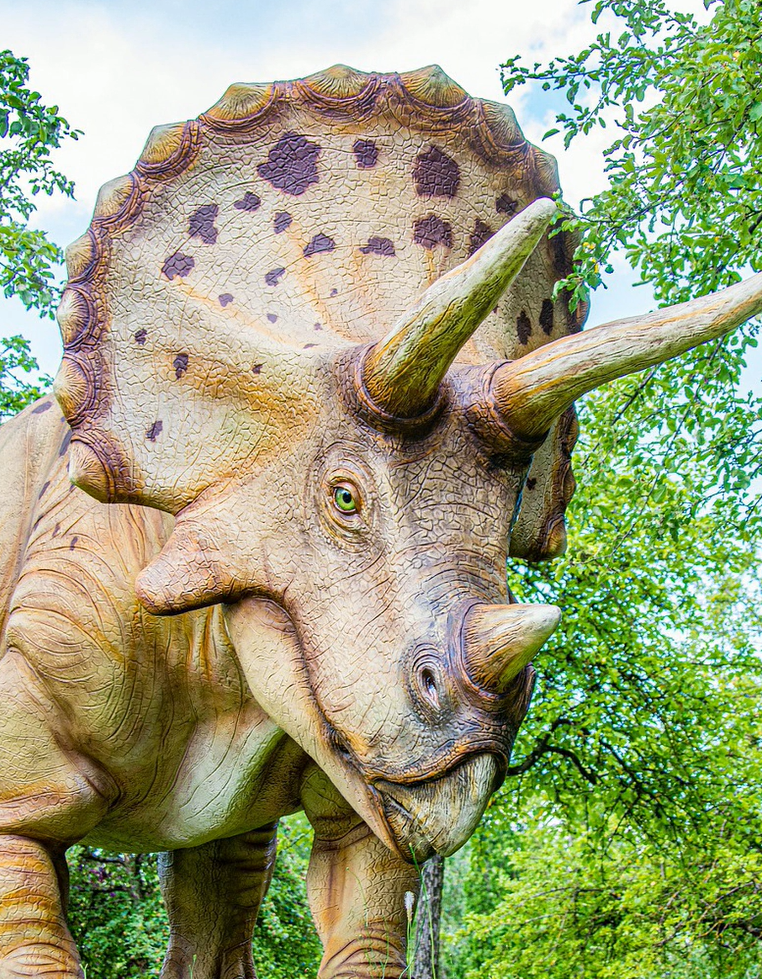 Illustration rubrique