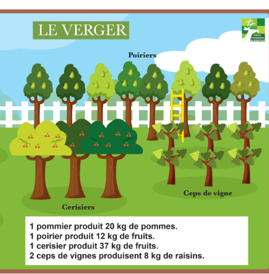 Illustration rubrique
