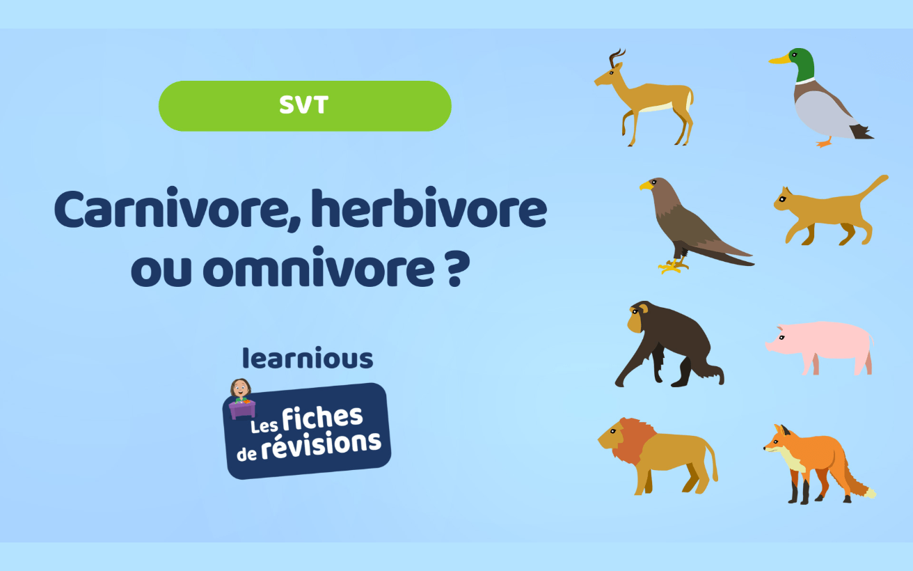 Illustration rubrique